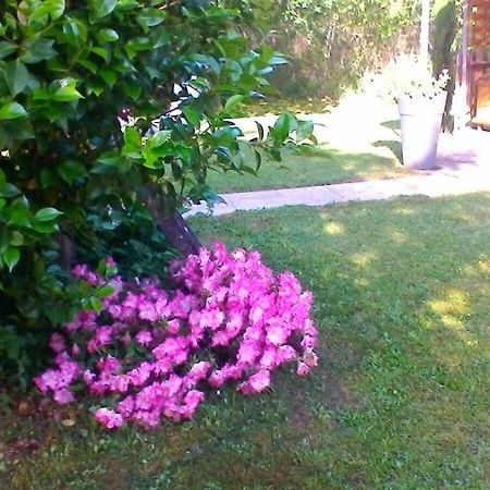 Le Clos Des Palombes Wifi Climatisation Saint-Pierre-du-Mont  エクステリア 写真
