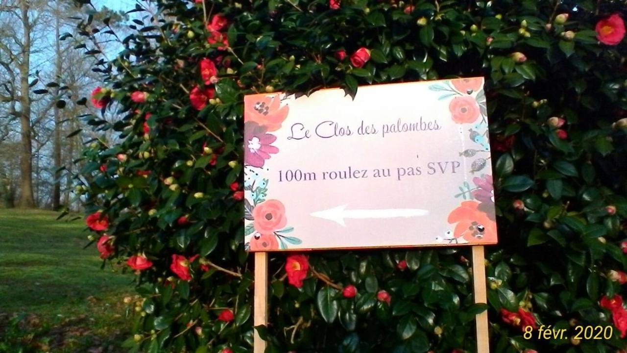 Le Clos Des Palombes Wifi Climatisation Saint-Pierre-du-Mont  エクステリア 写真