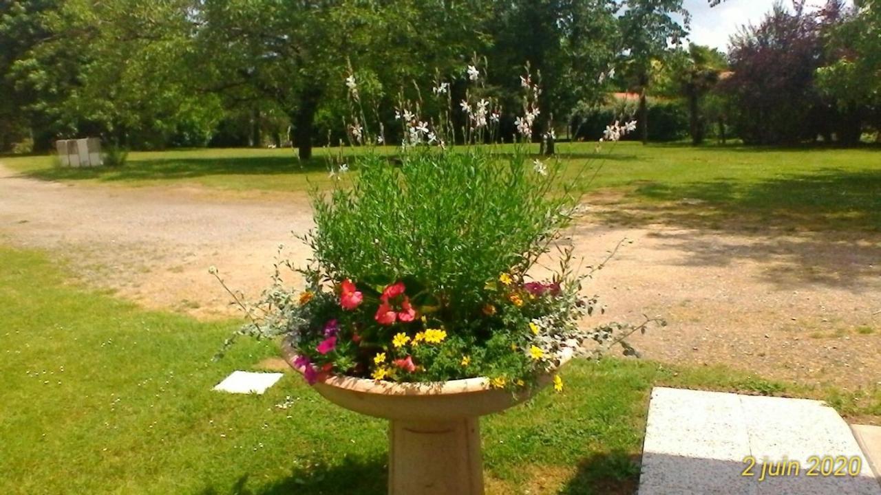 Le Clos Des Palombes Wifi Climatisation Saint-Pierre-du-Mont  エクステリア 写真