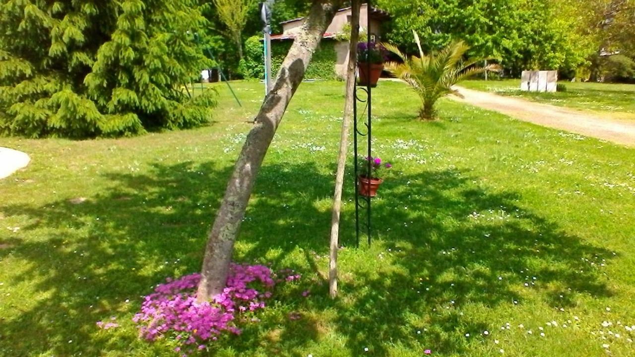 Le Clos Des Palombes Wifi Climatisation Saint-Pierre-du-Mont  エクステリア 写真
