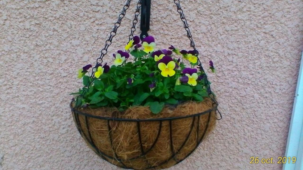 Le Clos Des Palombes Wifi Climatisation Saint-Pierre-du-Mont  エクステリア 写真